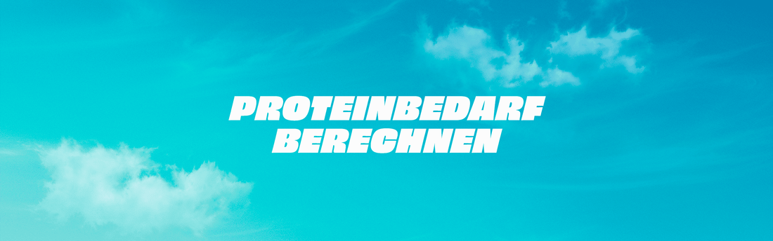 Proteinbedarf berechnen: Wie viel Protein am Tag Header