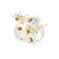 Splash Image
