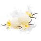 Splash Image