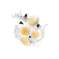 Splash Image