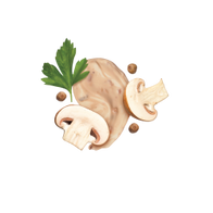 Creamy Mushroom-Style / 285ml