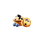 Splash Image