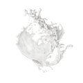 Milkshake Style Neutral / 25g Probe