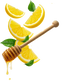 Splash Image