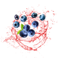 Splash Image