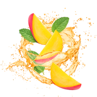 Lemonade Style Mango Mojito / 600g