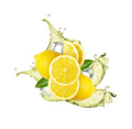 Iced Tea Style Lemon / Échantillon de 30g