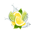 Lemon Lime Soda / 65ml