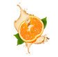 Splash Image