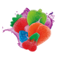 Splash Image