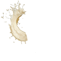 Light Mayo / 285 ml