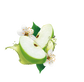 Splash Image