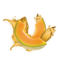 Splash Image