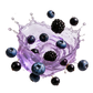 Splash Image