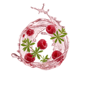 Raspberry Waldmeister / 65 ml
