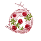 Splash Image