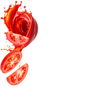 Ketchup / 300g (6 x 50g)