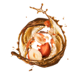Hazelnut / 65 ml