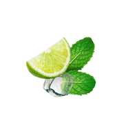 Mojito / 65ml