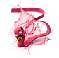 Splash Image