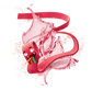 Splash Image