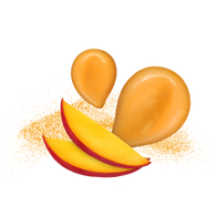Mango Curry / 285ml