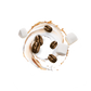Splash Image