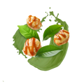 Caramelized Macadamia / 500g