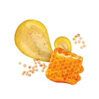 Honey Mustard / 285ml
