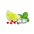 Lemonade Style Granatapfel-Mojito / 600g