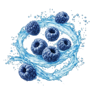 Lemonade Style Blue Raspberry / 600g