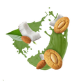 Coconut Almond Biscuit / 500g