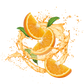 Splash Image
