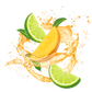 Splash Image