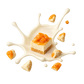 Splash Image