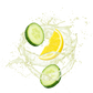 Splash Image