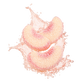 Splash Image