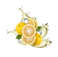 Splash Image